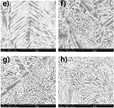 Figure 9. Scan Electron Micrographs(SEM) of IGC attack on specimens aged at 850℃ for various time after DL-EPR test (a) 0.9Si-15min aged, (b) 0.9Si-30min aged, (c) 0.9Si-60min aged, (d) 0.9Si-120min aged, (e) 1.8Si-15min aged, (f) 1.8Si-30min aged, (g) 1.8Si-60min aged, (h) 1.8Si-120min aged 