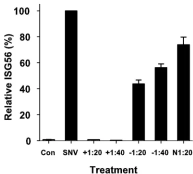 FIG. 6. Preexposure of SNV to plasma obtained from a patientconvalescing from HCPS that bears neutralizing antibodies abrogates
