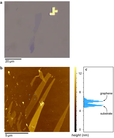 Figure 2.1: Micrographs of graphene on SiO2 substrate. (a) Optical micrograph of graphene near ametal alignment mark