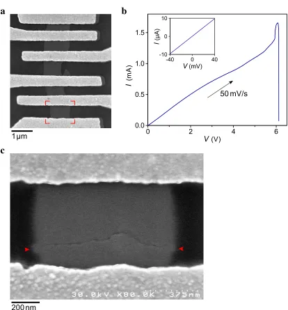 Figure 3.1: Device images and nanogap formation for a single representative graphene device