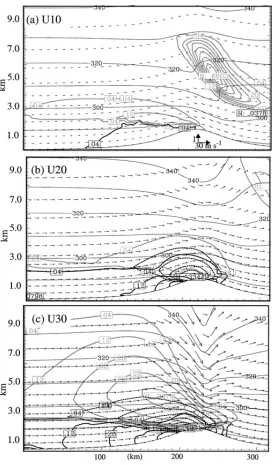 Fig. 6. Idealized 2-D cross section of potential temperature (solid every 10 K), wind 