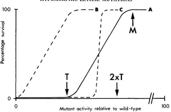 FIGURE 2.-Hypothetical alleles with activity between basis, T series the spectrum of mutations and curves showing three possible relationships between gene activity in a of hypomorphic alleles and the probability of survival of a mutant individual