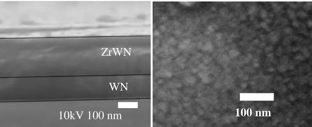 Figure 5. SEM images of the cross-sectional (left) and surface morphology (right) for multilayer ZrWN/WN coatings
