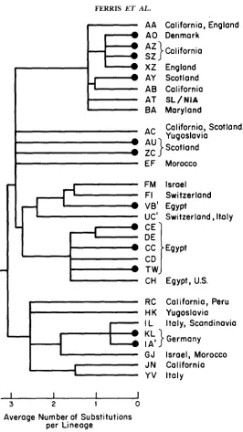 FIGURE 3.-Evolutionary enzymes. The tree was constructed by a parsimony analysis of the 