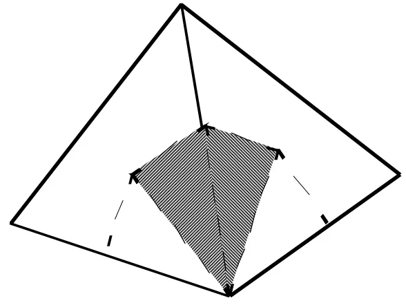 Figure 7 - Definition of Medial Dual Grid. 