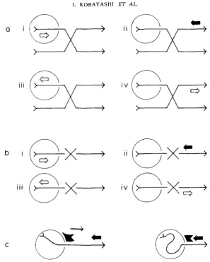 FIGURE that alteration. here in a linear version) is formed, Or, alternatively, the packaging machinery may produce that recombinogaoic lcft cos