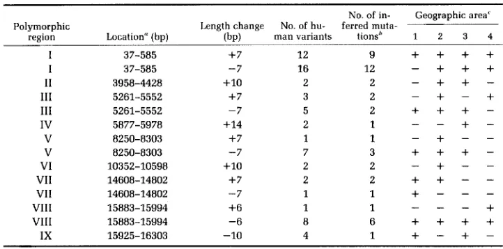 TABLE 3 Length mutations in mitochondrial DNA of 112 humans 