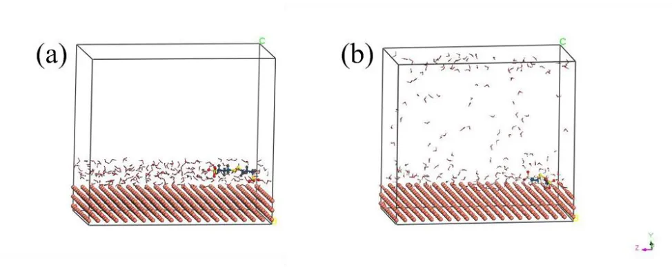Figure 5. Model of ZPS molecule adsorbed on the Cu(111) surface: (a) initial and (b) final