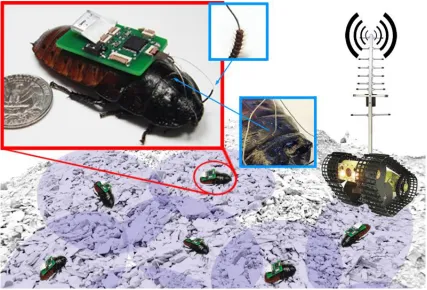 Fig. 2.1.  Conceptual image of a biobotic mobile sensor network with only the biobotic 