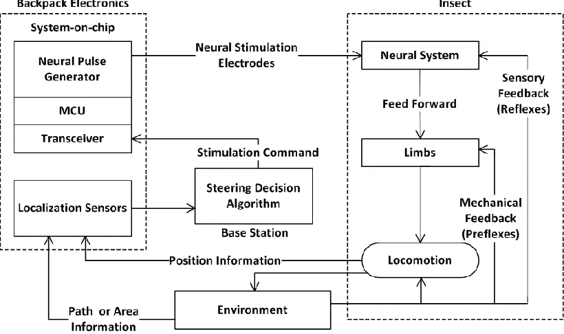 Fig. 2.2.  Process flow diagram of insect biobot system (adapted from [75]). 