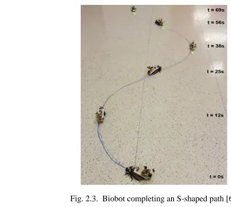 Fig. 2.3.  Biobot completing an S-shaped path [6]. 