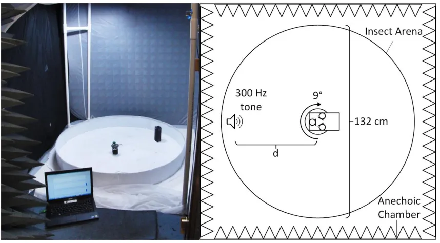 Fig. 2.11.  (left) Anechoic chamber used for microphone calibration, and (right) diagram of 