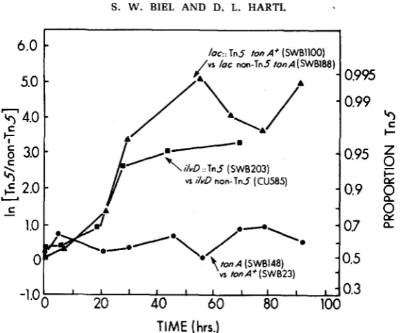 FIGURE 1.-Growth-rate advantage (lac Circles: SWB148 conferred by Tn5. Triangles: SWBllOO (lac: :Tn5) vs