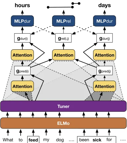 Figure 6: Network diagram for model. Dashed arrowsare only included in some models.