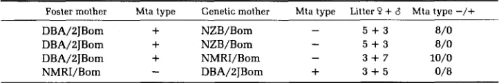 TABLE 3 Mta typing of Ft mice 