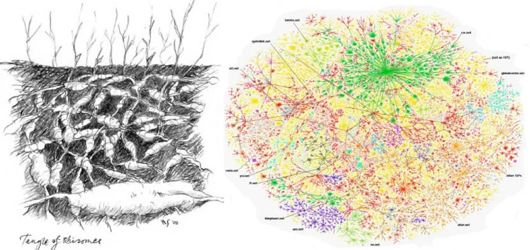 Figure 4: Illustration of a rhizome and a map of the Internet. (Drawing, W. Sellers; Map, W