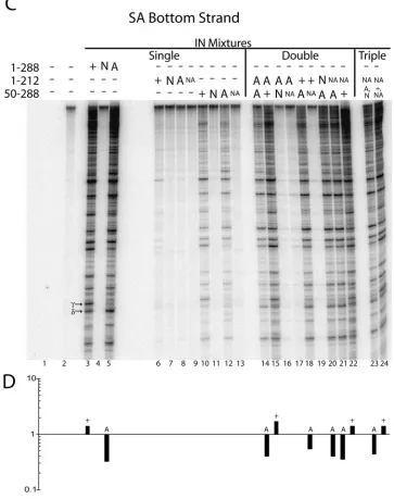 FIG. 3—Continued.