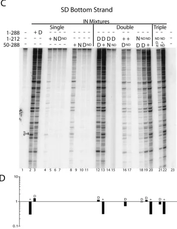 FIG. 4—Continued.