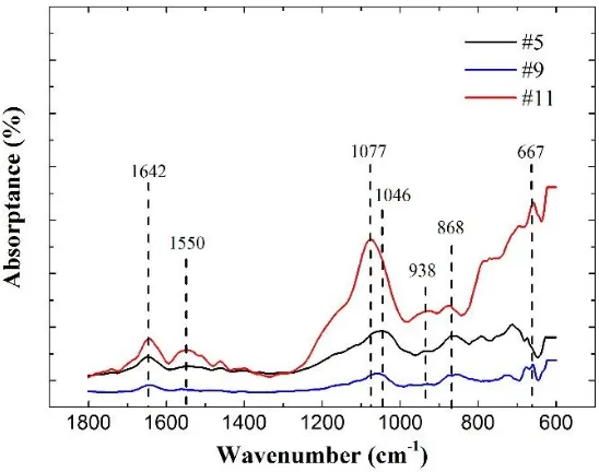 Figure 10. FTIR spectra of the porous silicon samples.  