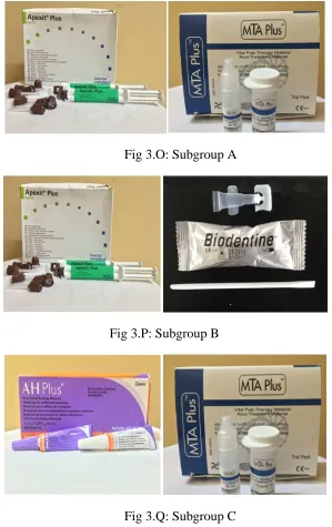 Fig 3.P: Subgroup B 
