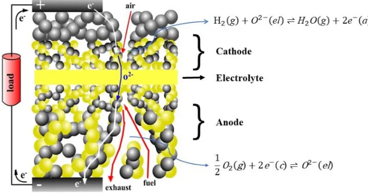 Figure 1.  A microstructure morphology for a typical anode-supported SOFC. The yellow and black particles represent the ionic and electronic conducting paths, respectively