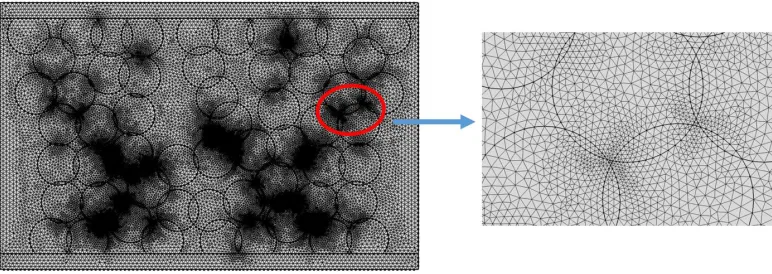 Figure 5.  The free triangle meshes for the irregular microstructure morphology in Fig