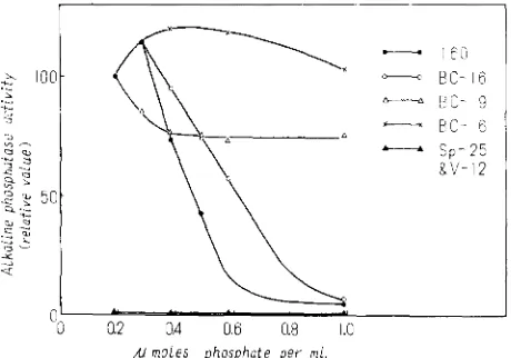 FIGURE 1 .-Production different concentrations of alkaline phosphatase produced of alkaline phosphatase by representative strains in media containing of inorganic phosphate