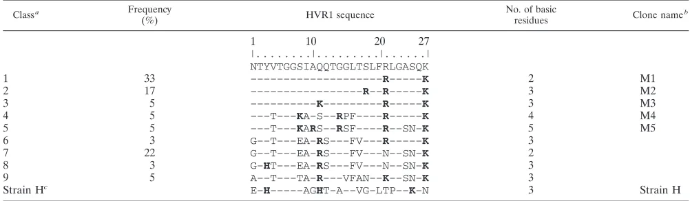 TABLE 1. Patterns of basic residues in HVR1 and their frequencies in different genotypes