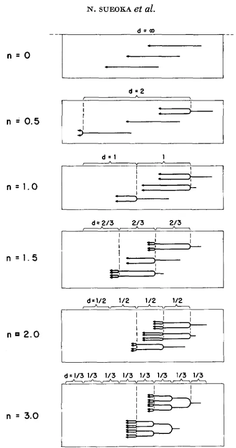FIGURE 4.-A A cation positions per chromosome. The unit per chromosome; few chromosomes are shown for each population