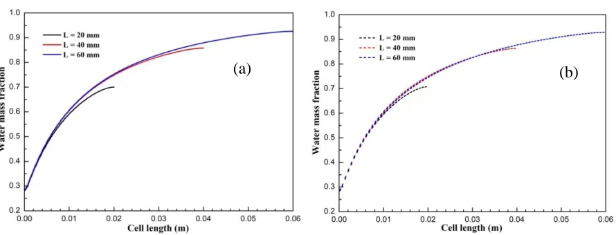 Figure 4.  Hydrogen mass fraction distributions at the anode diffusion layer and function layer interface of SOFCs with different cell lengths: (a) co-flow arrangement (b) counter-flow arrangement