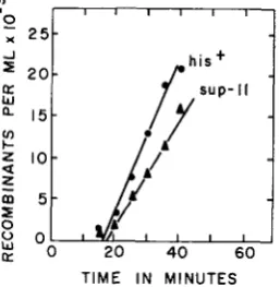 FIGURE 5.-Kinetics rupted-mating experiment. of recombinant formation for the his+ and sup-I1 markers in an inter- Donor AB2536; recipient AB2277