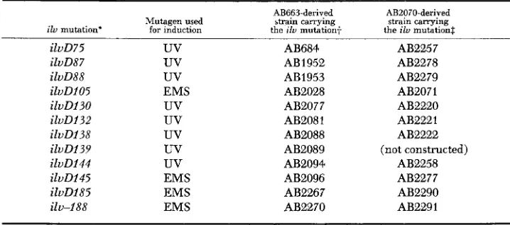 TABLE 3 