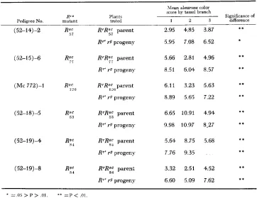 TABLE 6 Mean scores for the lateral tassel branches R"' rgr: testcrass kernels representing separate pollen samples from from each three of a series of R' heterozygotes carrying 