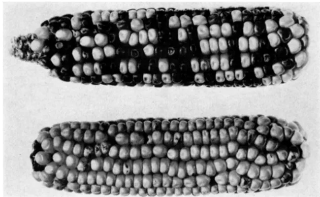 Table 3, which relate to agree closely with each other. showing that there plant. respectively