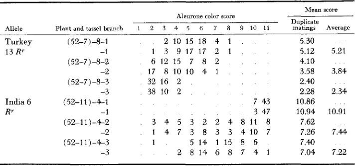 TABLE 3 Frequency distributions heterozygotes carrying paramutrrble for aleurone score in tests of different tassel branches within two RSt Rr alleles of different geographic origin 