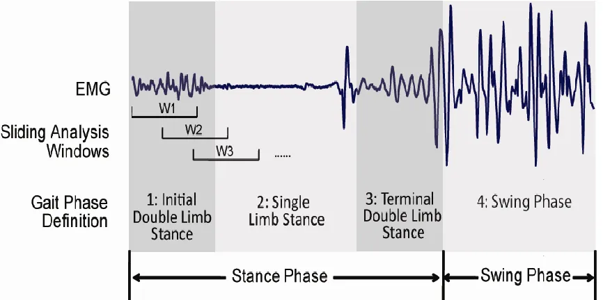 Figure 4. Data windowing scheme and definition of gait phases in one stride cycle. 