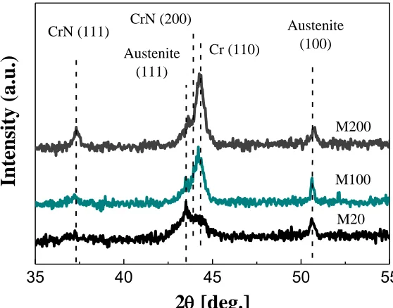 Figure 2. Plain-view SEM image of surface morphology of CrN/Cr nano-multilayers deposited on 304 ss substrates