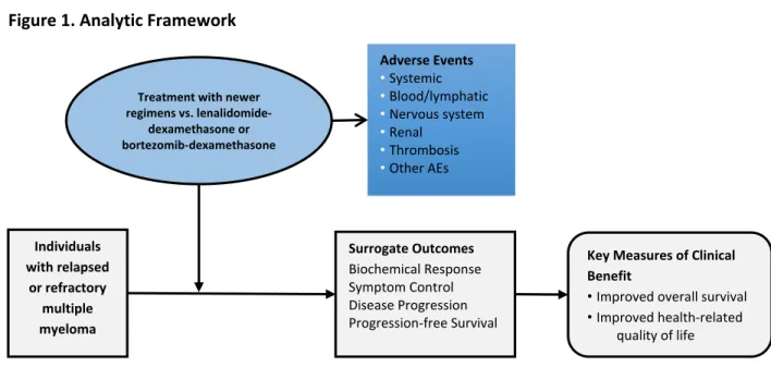 Figure 1. Analytic Framework 