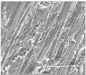 Figure 1(a).  SEM micrograph of polished Fe surface with smooth finish (P1200).  