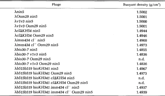TABLE 4 
