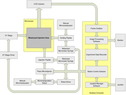 Fig. 2.2.  The microinjection system configuration. 