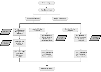 Fig. 4.1. Overview of the video processing algorithm.  The highlighted blocks indicate outputs recorded during the experiments