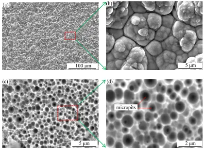 Figure 1. SEM images of coatings: (a) and (b) SEM images of the Ni-P-Al2O3 composite coating (5 A·dm-2, 60 °C and 90 min); and (c) and (d) SEM images of the Ni-P-Al2O3 composite coating processed by electrochemical dissolution (1 A, 12 V and 5 min) and flu
