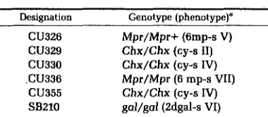 TABLE 1 Strains used in this study 