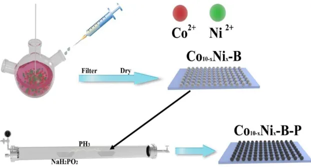 Figure 1. The preparation process of Co10-x-Nix-B-P catalyst. 