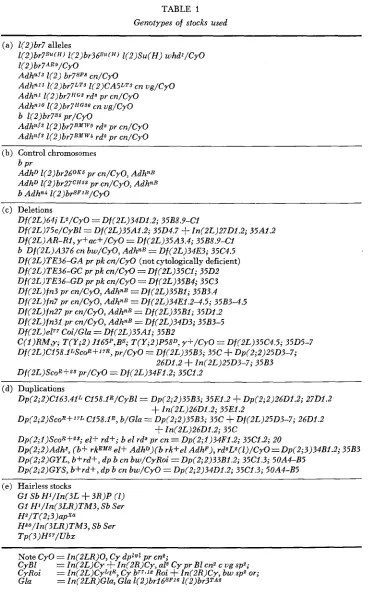 TABLE 1 Genotypes of stocks used 