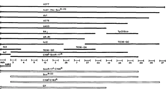 FIGURE 1 of the loci are known from recessive lethal alleles. The deletions are described point with Df(2)A377 a G