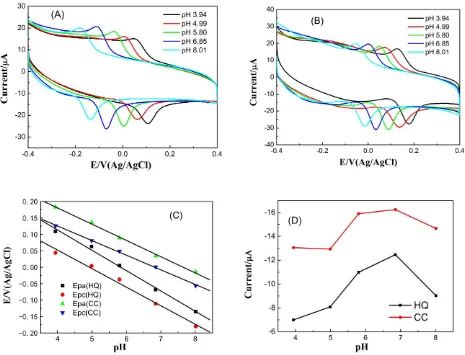 Figure 3. CVs of MWCNTs/ EY /GCE in pH 3.94.0–8.01 PBS containing 4.010-5 mol·L-1 HQ (A) and 4.010-5 mol·L-1 CC (B)