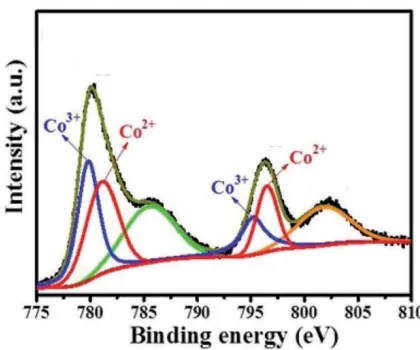 Figure 3. The XPS spectrum of Co 2p for the CO-NS.  