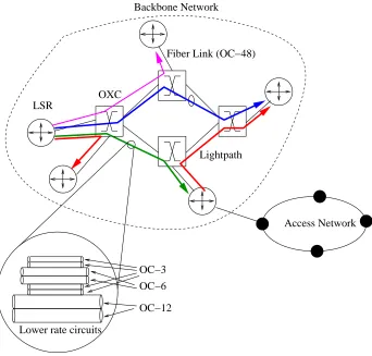 Figure 2.4: A typical optical network